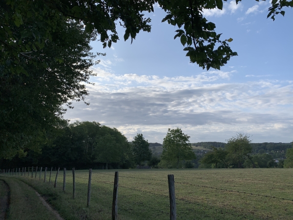 Notre chemin domine la vallée du Ruisseau de St-Ouen.