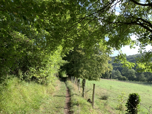 Nous avons, à nouveau, traversé le ruisseau St-Ouen et suivons maintenant le charmant chemin de la Petite Vallée qui avance en balcon au-dessus de la vallée, jusqu'au Goulet.
