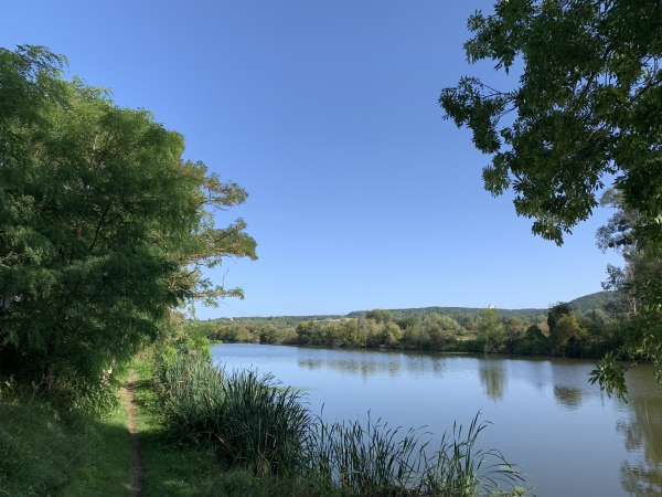Le bras de Seine devant l'île aux Frêles ne rejoint pas la Seine de ce côté-ci. L'île aux Frêles est devenue une presqu'île.