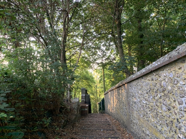 Nous partons du parking de l'avenue Pasteur, et, depuis le parking, descendons l'escalier vers la Côte de Croisset. La trace GPS a l'air de s'affoler en bas de l'escalier, mais c'est simplement son tracé.