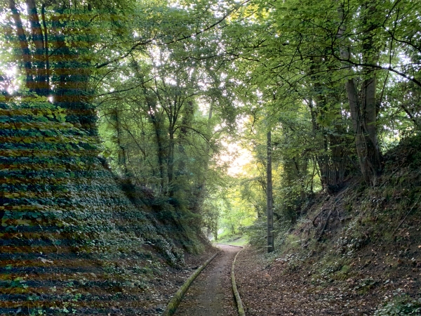 Dans la Côte de Croisset, nous suivons le chemin en direction du sentier de la Barquette.