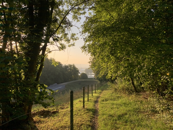 Le Sentier de la Barquette s'avance en balcon au-dessus du Quai Flaubert et de la vallée de la Seine, mais en cette saison ils sont cachés par la végétation.