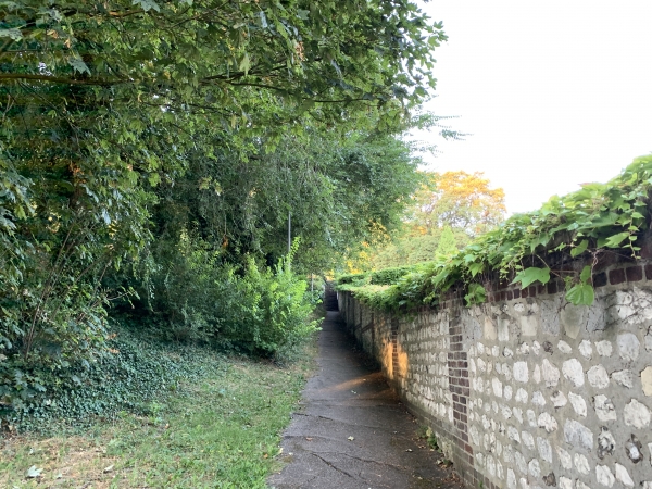 Nous laissons la rue du Mont Gargan, et montons l'escalier qui longe le mur du cimetière en direction de la rue Leonard Bordes. Nous sommes sur le GR25b.