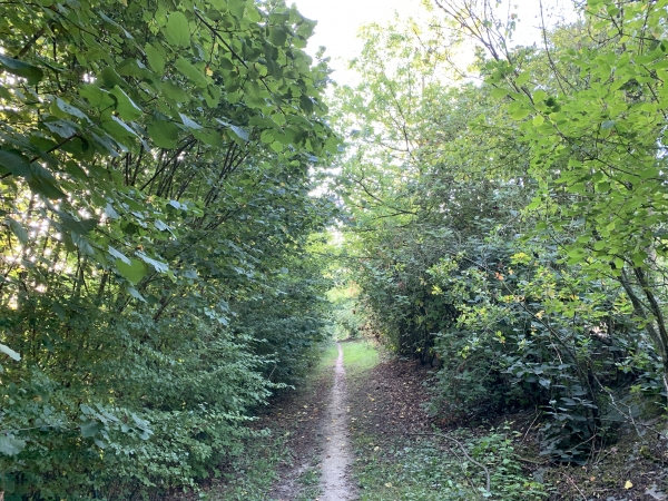 Nous sommes maintenant le long de la D138, mais là encore le GR25b est parfaitement aménagé, en contrebas de la route.