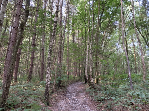 Nous remontons le Val-aux-Daims.