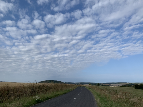 Nous quittons le GRP des Forêts de Haute-Normandie et suivons maintenant la route d'Aubermesnil que nous allons bientôt quitter pour continuer sur le chemin de Bréolles. Nous n'avons croisé aucune voiture.