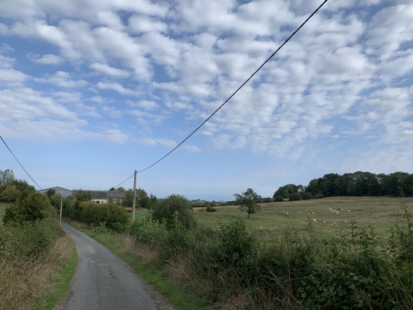 Nous voilà dans le vallon de la Roulée, sur le chemin de Bréolles.