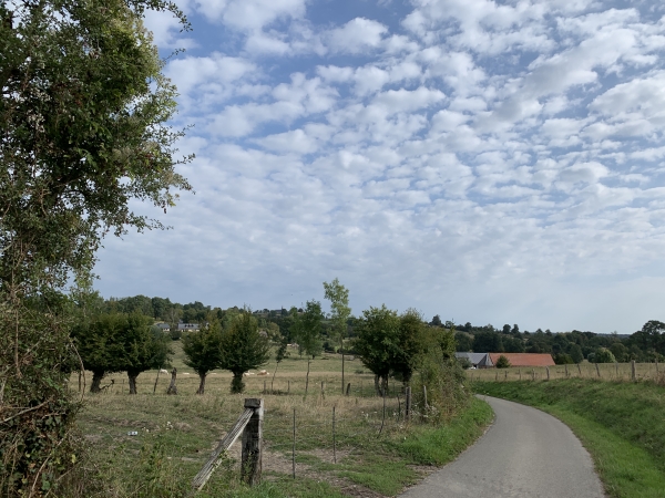 Nous suivons la route du Ruisseau de Candeur en direction de la Ferté-Saint-Samson.