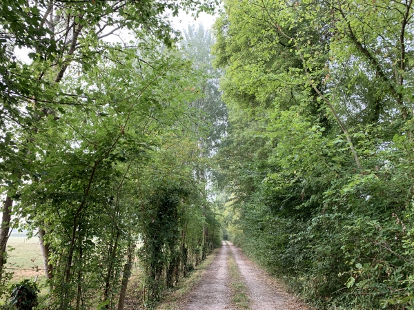 Nous voilà dans les marais, aux pieds du château d'Etelan.