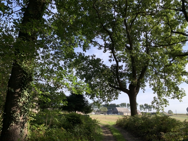 Nous sortons du bois au Catillon. Nous rejoignons le GR2, et nous allons le suivre maintenant jusqu'à Cantepie, à la sortie des bois du château de Caumont.