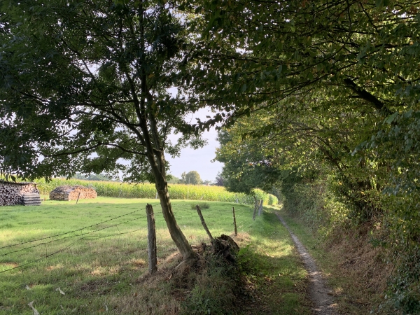 Nous arrivons à Secqueville, toujours sur le GR2.