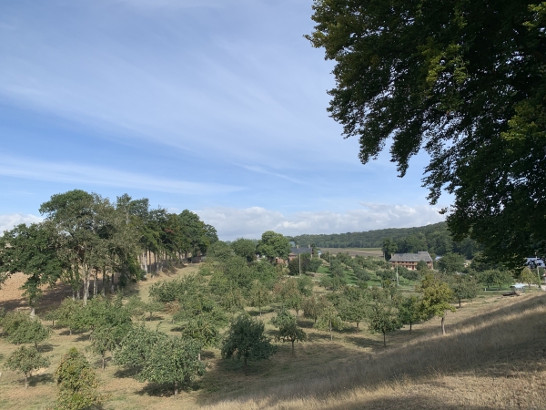 Cantepie et ses vergers. Nous quittons le GR2 pour marcher vers Norville.