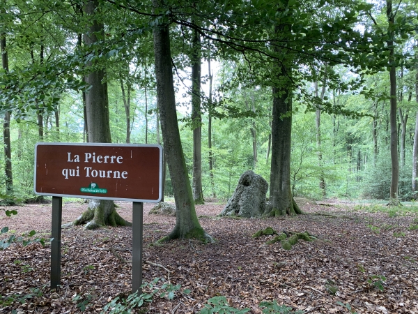 Nous arrivons au menhir de la Pierre-qui-Tourne. La Pierre est composée de deux parties. D'après Michel Coffin (Promenades historiques et géographiques en Pays de Bray), la Pierre était branlante et les gaulois tiraient des prédictions de ses oscillations. La légende prétend aussi qu'elle tournait tous les cent ans.