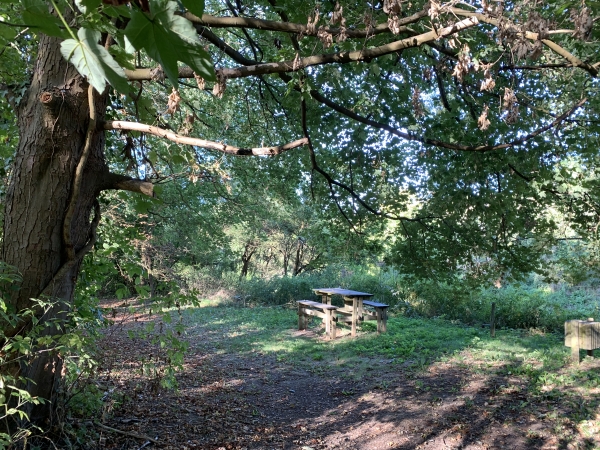 Première boucle. Table de pique-nique en bordure du chemin.