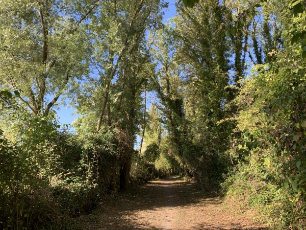 Deuxième boucle. Chemin de bord de Seine.