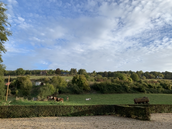 Nous partons du parking aménagé le long de l'Oison, en face de la petite mairie de St-Germain-de-Pasquier. Nous partons en direction de cette petite colline derrière le parking.