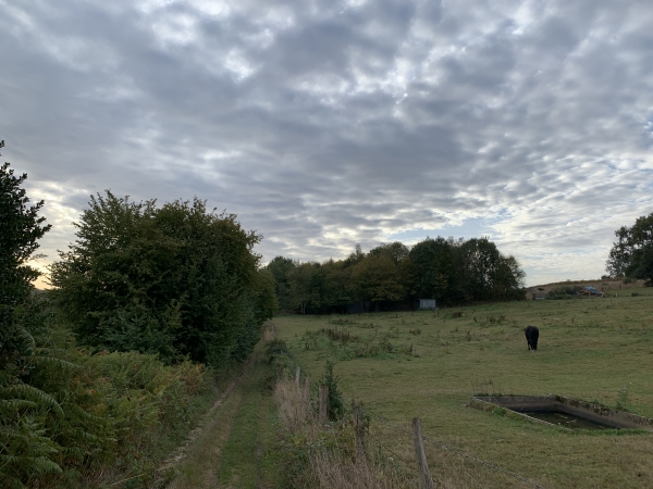 St-Cyr-la-Campagne, Chemin du Champ-Corneille.