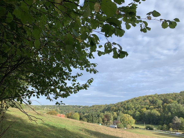 Bois de Troussebot, la végétation  s'écarte pour nous laisser voir la vallée de l'Oison.