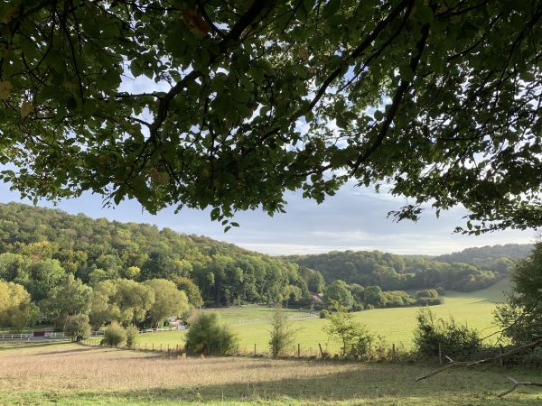 Bois de Troussebot, notre chemin domine la vallée de l'Oison.