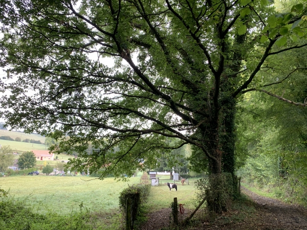 Nous arrivons au Val Saint-Pierre. Nous allons suivre le vallon jusqu'à la D115.