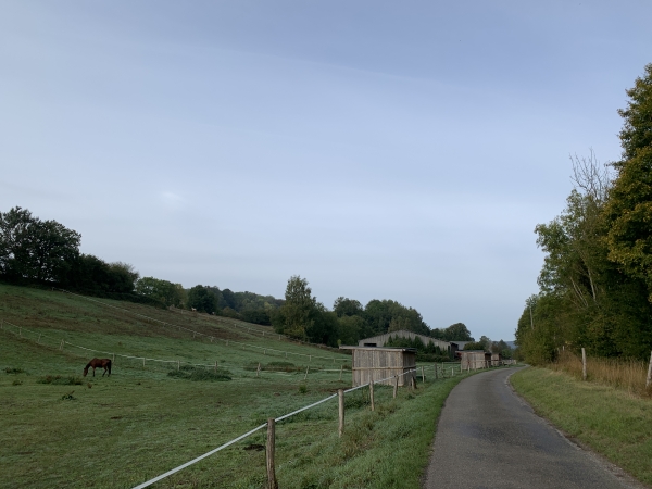 Route Forestière du Val Saint-Pierre, regard arrière sur le vallon. Nous allons suivre cette route forestière goudronnée sur 3,5km. Ca fait baisser sérieusement le taux de chemins de ce circuit, mais c'est une petite route tranquille dans des paysages agréables.