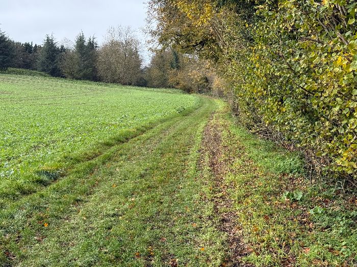 Nous contournons le bois de la Fayel, et longeons ici la plaine du Montier au pied du village. La plaine du Montier est plantée de plusieurs arbres majestueux.