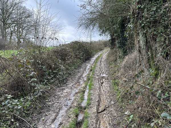 Nous avons connu ce chemin lorsqu'il permettait de marcher au sec les jours de pluie. Ce n'est plus le cas, il a été raviné par un hiver pluvieux, et plusieurs passages sont très boueux.