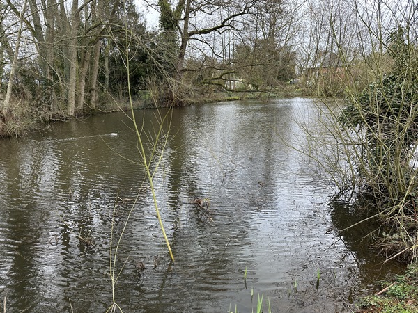 Voici la mare David qui a donné son nom à ce circuit. Elle aussi a connu des jours meilleurs.