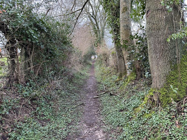 Nous continuons vers l'ouest.