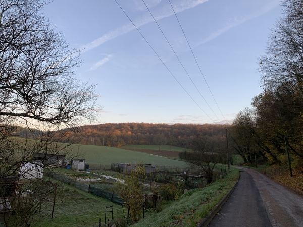 Nous quittons Clères par la rue du Fond du Bois en direction du Bois de la Chapelle.