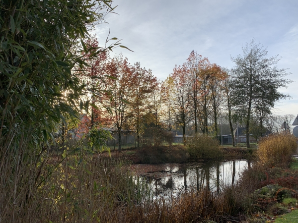 La mare de Frichemesnil.