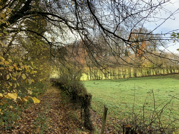 Nous marchons maintenant en lisière du Bois de la Houssiette.