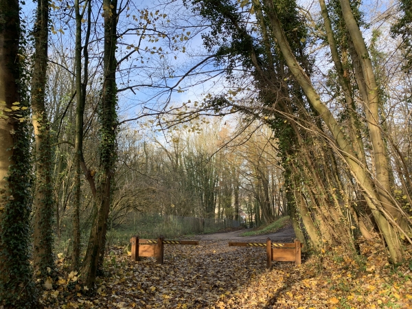 Nous traversons le Bois de Cordelleville et entrons dans Clères par l'est.