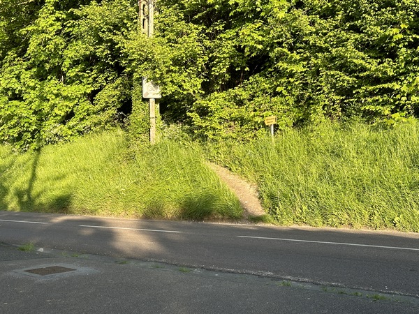 Nous allons traverser la D51 et monter par le chemin d'en face, indiqué par une des rares pancartes de ce circuit.