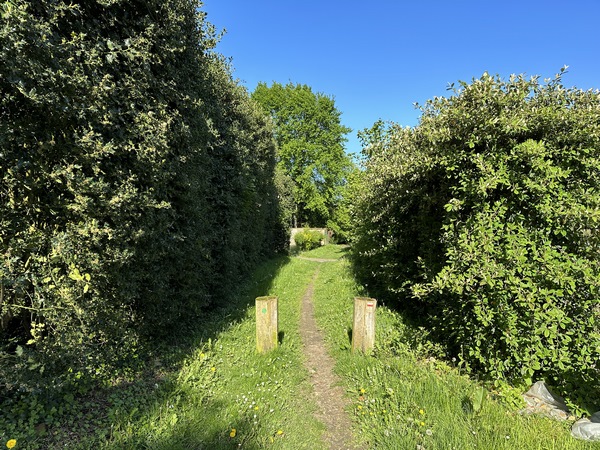 A Bosc-Guérard-St-Adrien, nous rejoignons le GR25 qui traverse Bosc-Guérard-St-Adrien dans un couloir préservé.