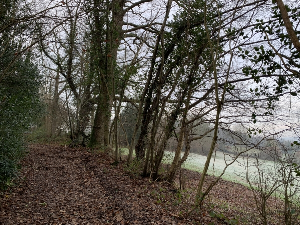 Chemin entre Le Saussay et La Motte.