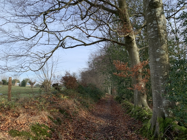 GRP du Tour du Pays d'Auge.