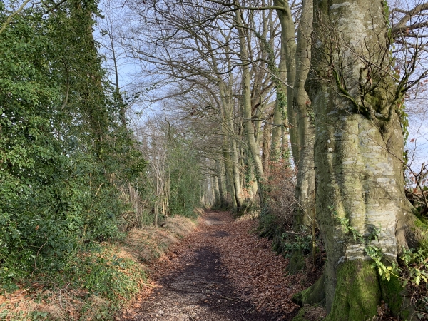 Nous avons traversé la Vallée au Lièvre et nous voilà sur le chemin de Bosseberts.