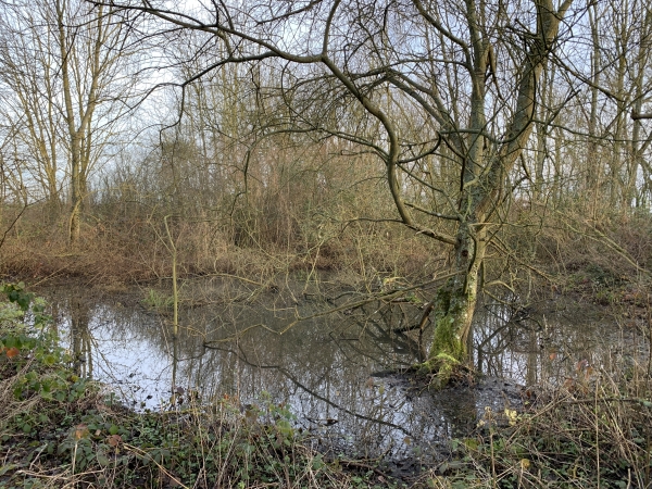 La Mare Cotret est à l'abandon. Nous tournons vers le sud pour rejoindre le Chemin de la Chapelle.