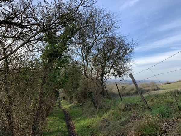 Le chemin est très agréable, il va nous descendre jusqu'à l'ancien hôpital Saint-Jacques.