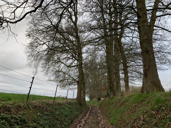 Nous avons quitté la rue pour continuer sur le chemin qui la prolonge.
