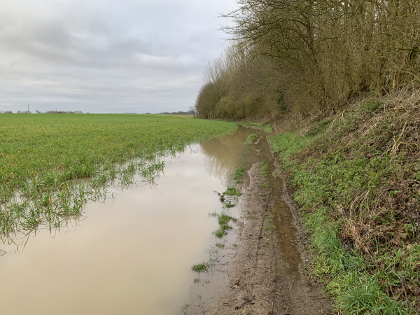 Au sommet, sur le plateau, le sol argileux retient l'eau de pluie. Notre chemin a disparu. Nous sommes équipés, mais c'est le genre d'information qu'il faut avoir avant de partir. Nous attribuons un parapluie rouge à ce circuit.