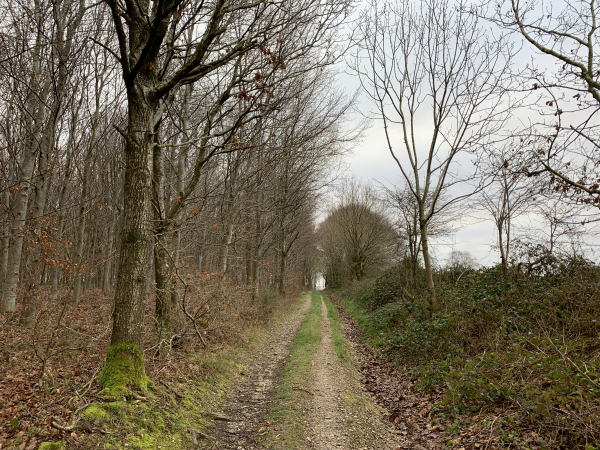 Le chemin monte en pente douce vers la D3 et Le Bocage.