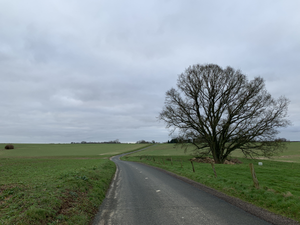 Nous suivons la D3, déserte, sur 700 mètres.