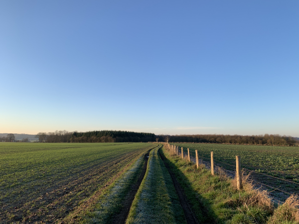 Après l'église Saint-Aubin, nous suivons le chemin qui traverse la plaine de la Fosse Bellard.