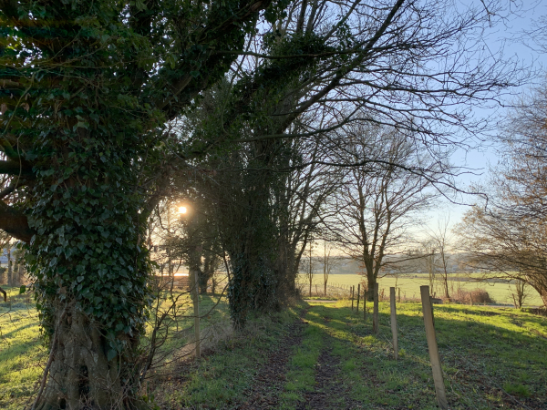Petit détour à l'ouest du Thuit-Simer.