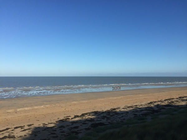 Voilà la plage ! Il est bientôt 9 heures, c'est le meilleur moment pour la longer : seuls quelques drivers sur leurs sulkys travaillent leurs trotteurs.