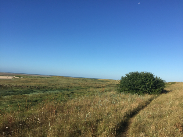 Un étroit sentier permet de marcher dans les dunes sans difficulté, et sans les abîmer.