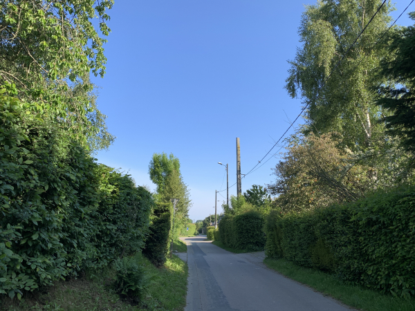 Nous partons du parking du stade et marchons dans les rues du bourg. A la tranquillité du bourg, à l'écart des grands axes qui mènent à Rouen, s'ajoute la tranquillité individuelle de ces maisons derrière leurs grandes haies.