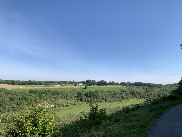 La D53 domine puis descend vers le vallon, nous arrivons bientôt au chemin en forêt.